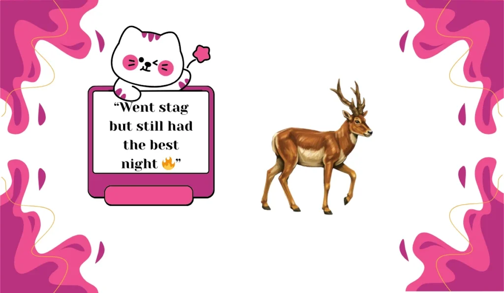 stag meaning