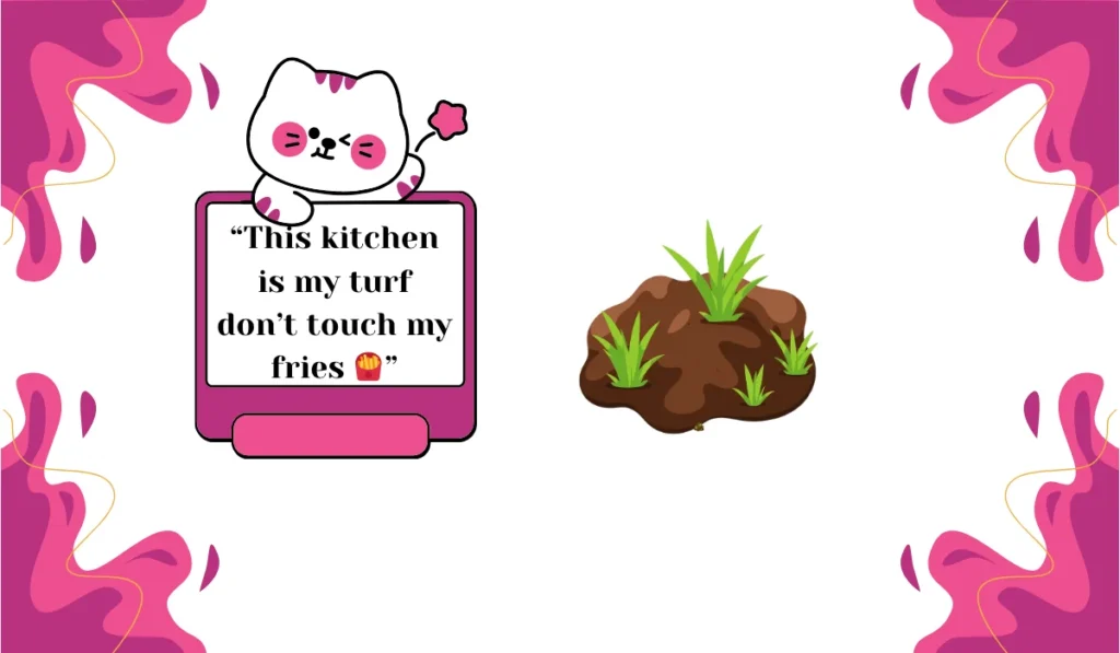turf meaning