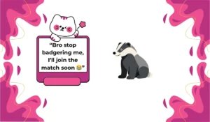badger meaning