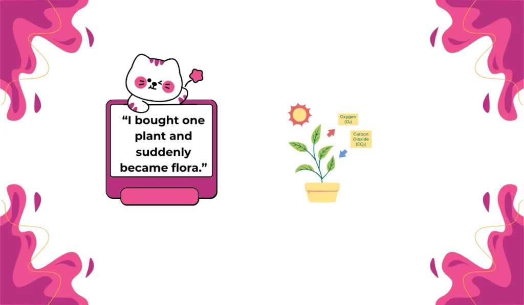 flora meaning