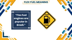flex fuel meaning