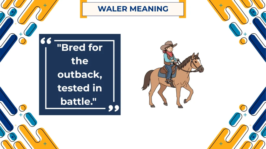 waler meaning